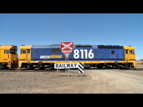 7731V Pacific National Grain Train With 8116 G525 8171 Arrives At Gheringhap (21/2/2024) - PoathTV