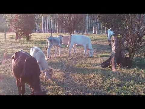 Entardecer no sudoeste de Mato Grosso- Comunidade Trinta Lotes- Reserva do Cabaçal 