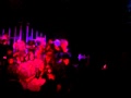 Show De Haloween Plaza Sesamo