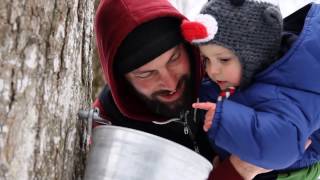 This Is Northumberland