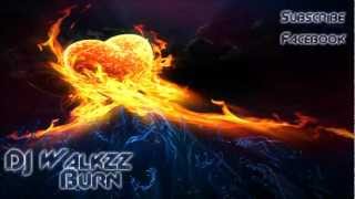 Videoklip Alan Walker - Burn s textom piesne