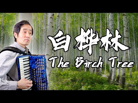 The Birch Tree｜Russian Folk Song｜Accordion cover
