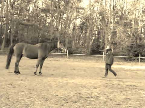 ♥Don´t cry,say fuck you and smiley♥