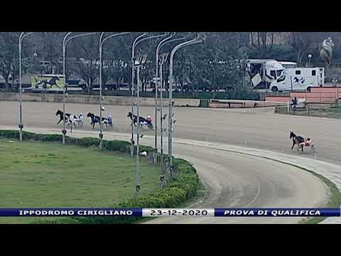 Aversa trotto 23 Dicembre 2020 - Prova di qualifica