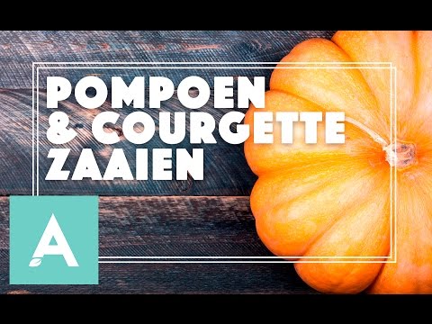 , title : 'Pompoen en courgette zaaien! - Grow, Cook, Eat #20'