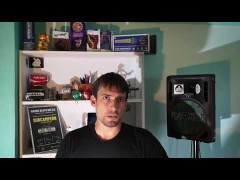 Ravobeat / Grand Beatbox Battle 2019 WILDCARD