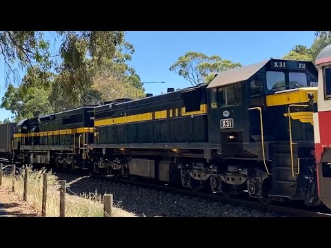 VR Liveried X31 & C501 on 7 Loco 7AM9! - Rare Action in The Hills