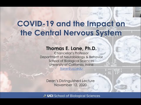 COVID-19 and the Impact on the Central Nervous System