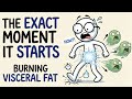 Science Explained The Exact Moment Walking Starts Burning Visceral Fat