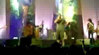 Los Delinquentes - Mis condiciones pajareras