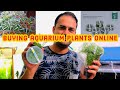 Cheapest Place To Buy Aquarium Plants