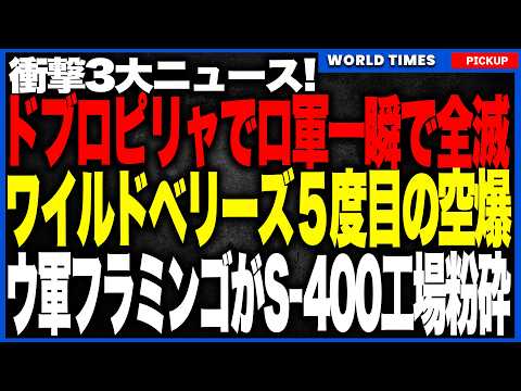 衝撃3大ニュース！ロシア東部要塞ドブロピリャで露軍が一瞬で全滅！さらにサンクトで５度目のワイルドベリーズ空爆で物流停止！そしてウクライナ国産ミサイル「フラミンゴ」でS400工場粉砕の破滅的惨事へ！