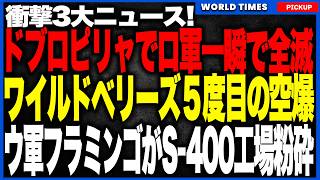 衝撃3大ニュース！ロシア東部要塞ドブロピリャで露軍が一瞬で全滅！さらにサンクトで５度目のワイルドベリーズ空爆で物流停止！そしてウクライナ国産ミサイル「フラミンゴ」でS400工場粉砕の破滅的惨事へ！