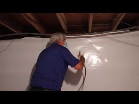 Cave Crickets in Crawl Space in Toms River, NJ