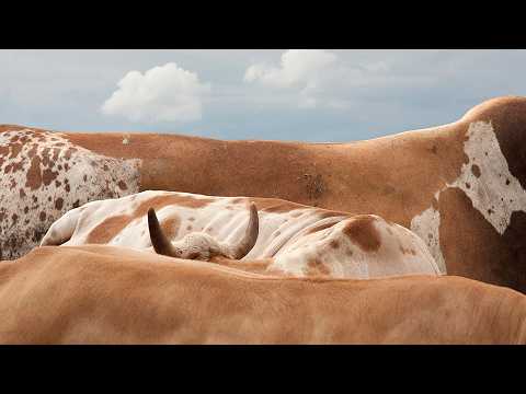 What Makes an Award-Winning Photograph?