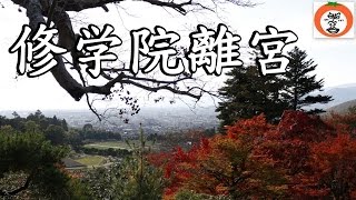 preview picture of video '紅葉 秋 の 修学院離宮 6 参観 京都府 京都市 左京区 Shugakuin Imperial Villa in Kyoto  【 うろうろ近畿 Travel Japan 】'