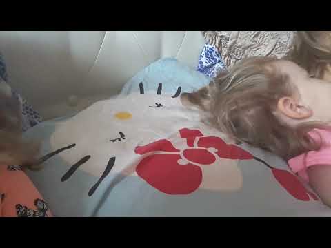 2022 m. vasario 8 d.