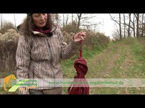 Praxistipp: die lange Leine effektiv aufwickeln