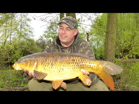 Karpfenangeln - Videotagebuch 20 -  Erfolgreich am kleinen See