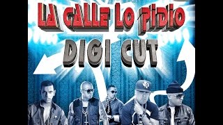 Tito El Bambino, Cosculluela, J Alvarez, Nicky Jam, Wisin, Zion - La Calle Lo Pidio - DIGI Cut