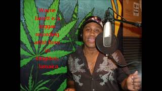 Wayne Jarrett You Were On My Mind (12''mix)