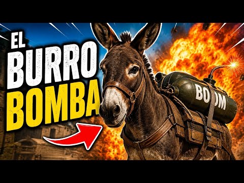 EL BURRO BOMBA, CHALÁN SUCRE, lo que nadie te contó 