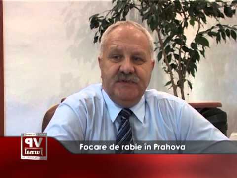 Focare de rabie în Prahova