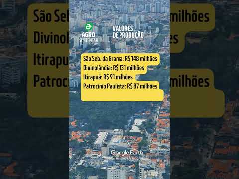 Principais Cidades Produtoras de Café do Estado de São Paulo. #agro #café #curiosidades