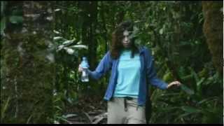 Jardin du luxembourg - the Ghost of a Saber Tooth Tiger (demo 2007) Sean Lennon Charlotte Muhl PNG