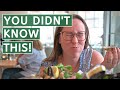 The DUTCHIEST Foods To Try In Middelburg Zeeland Netherlands