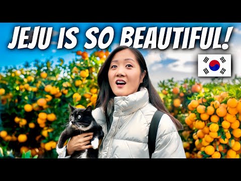 The ultimate guide to Jeju Island - 7 things to see eat and explore
