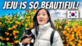 The Ultimate Guide To Jeju Island 🇰🇷 7 THINGS TO SEE, EAT & EXPLORE!