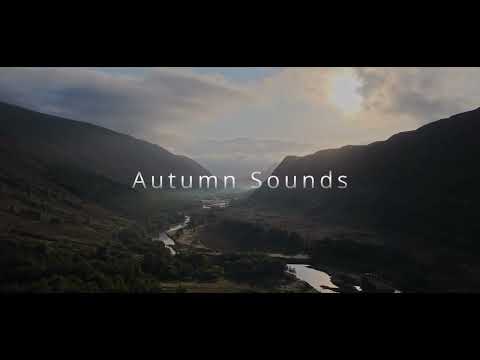 Alladale Wilderness Reserve in Autumn