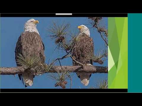 Round Table with Marko from OptionSlam - June 14, 2017