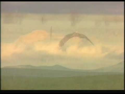 Megersa Bekele : Inni Turee ...Inni Jiruu