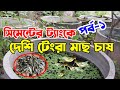 ট্যাংকে টেংরা মাছ চাষ কৌশল Striped Dwarf Catfish Farming