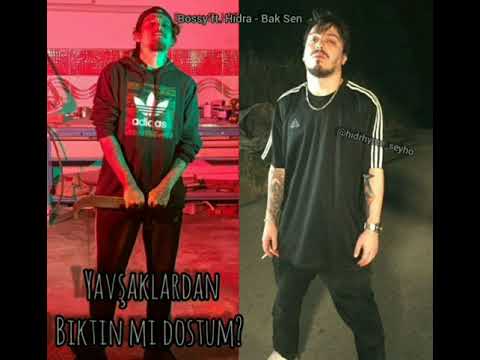 Bossy Hidra'ya y*vşaklardan bıktın mı diye soruyor