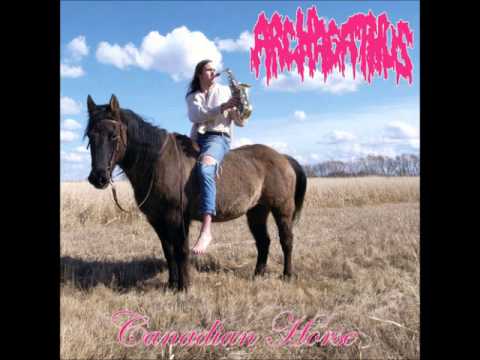 Archagathus - Fuck The System