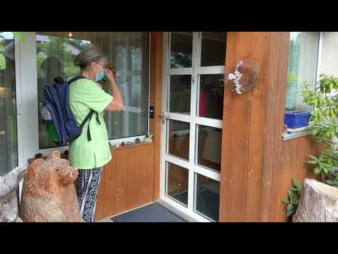 Hauswirtschaft in der Spitex