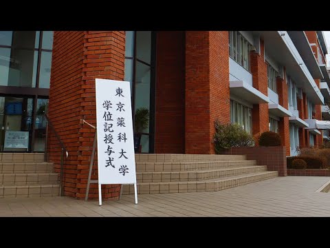 生命医科学科 東京薬科大学 学位記授与式ダイジェスト（2023/03/17）