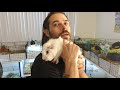 Common Guinea Pig Illnesses