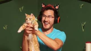 The YouTube Factory feat. Dwayne \