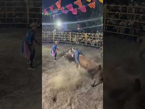 MIRA COMO SE LA RIFA ESTA MUJER JINETE DE NOMBRE CANELITA DE URUAPAN😮 #jaripeo #shorts