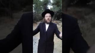 חיזוק יומי ליום יד סיון עז - הרב חלמיש שליט"א