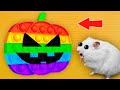 🎃 POP IT PUMPKIN - Halloween Hamster Maze with Traps ☠️[OBSTACLE COURSE]