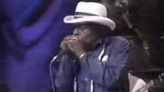Junior Wells - Trouble no more- Lonesome Pine 1987