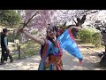 ROUGE緒川舞～桜の下の美しき舞♥SAKURA beauty