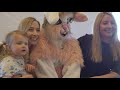 2019 Bunny Breakfast Highlights