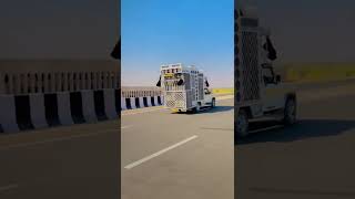 Download lagu rajasthani dj song video #shorts #dj #video #rajasthan #youtube #india mp3