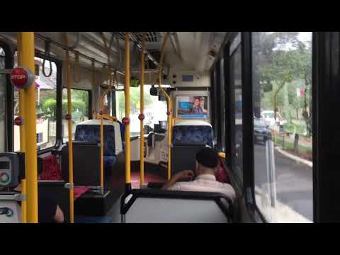 Nice ZF - Sydney Buses 2478 ST - Scania K280UB (cb80) - Short